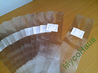 4A Small Mushroom Grow Bags with 0.5 Micron Filter 10 
