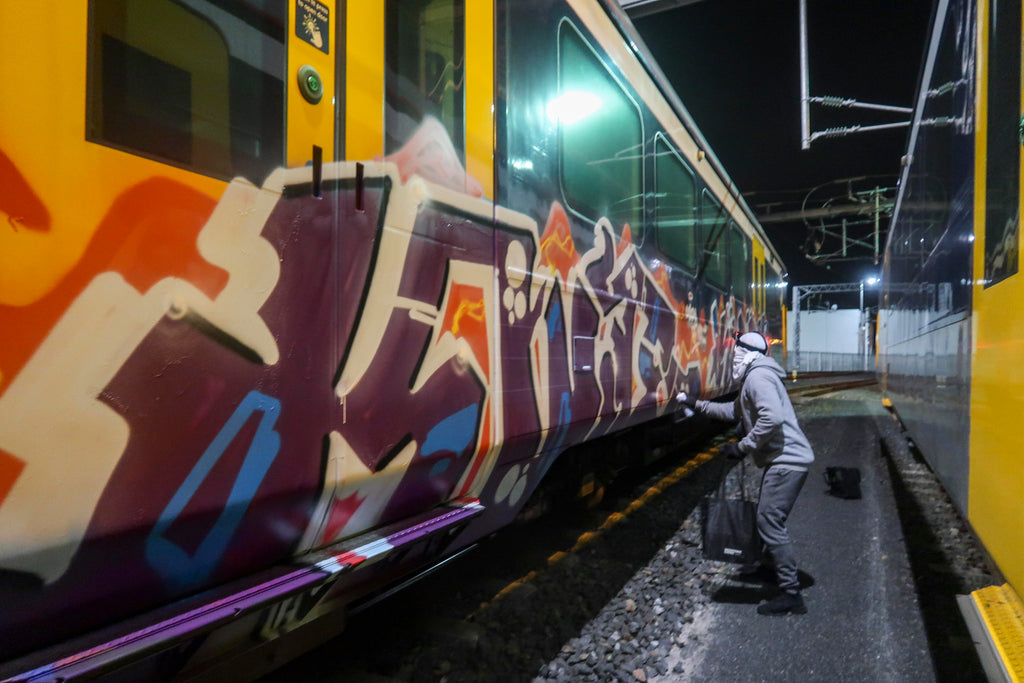 auckland train graffiti