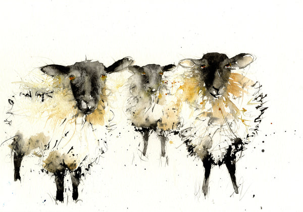 signed LIMITED EDITON PRINT of my original blackface SHEEP