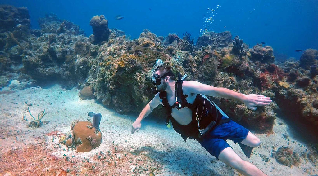 Cozumel Reef Dive