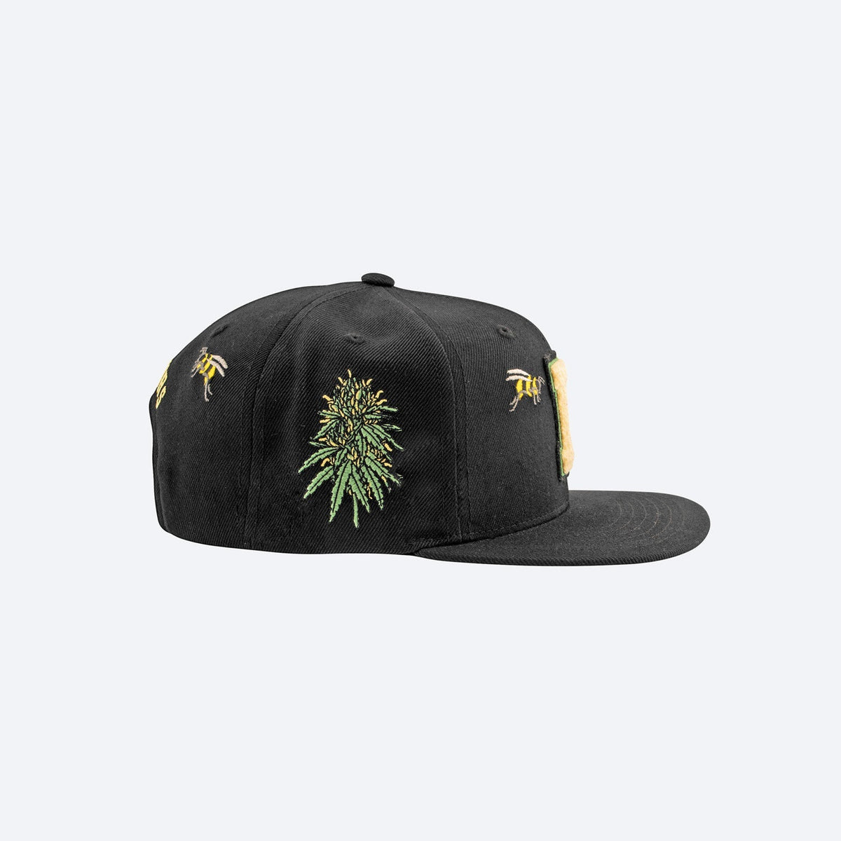 DGK CULTIVATORS SNAPBACK