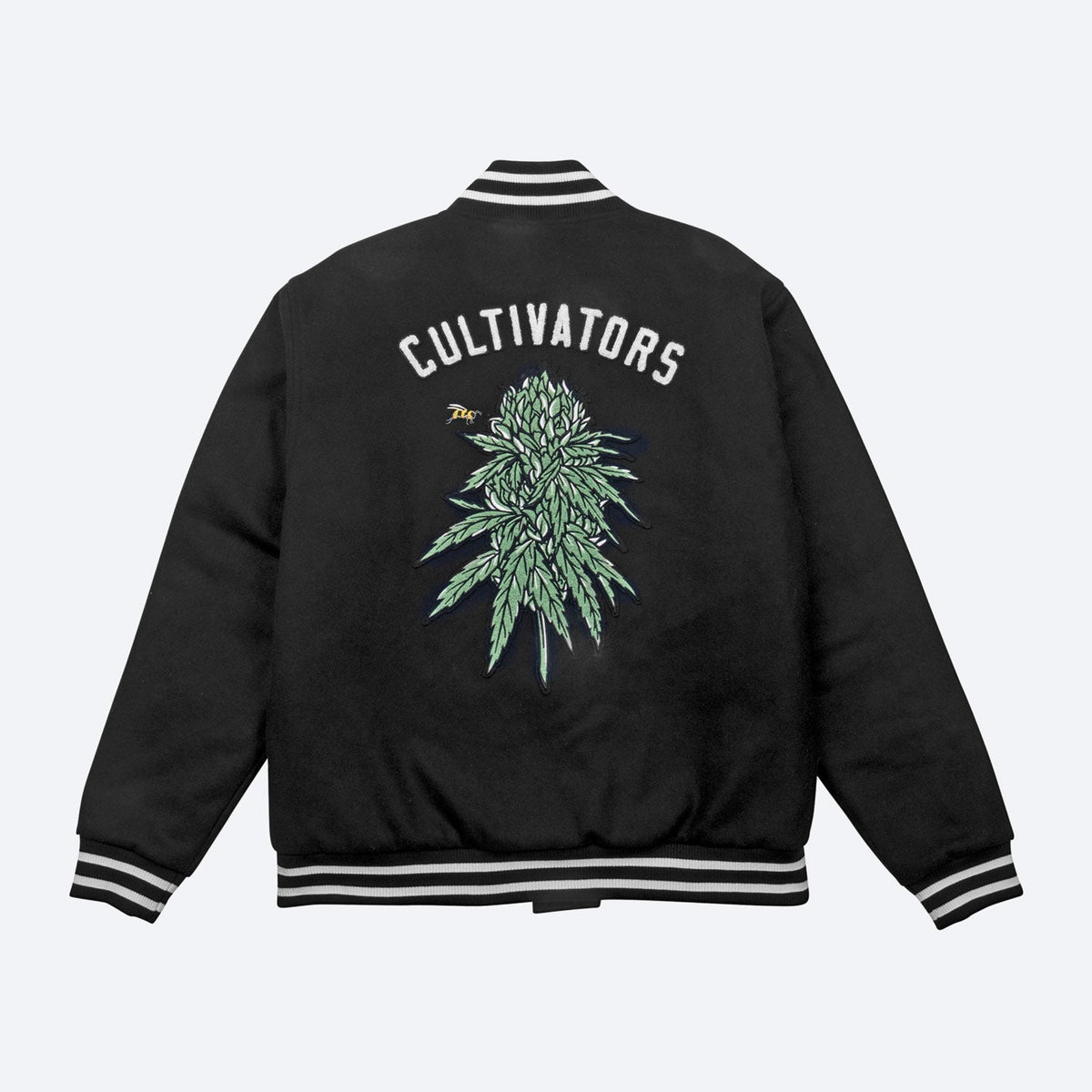 DGK CULTIVATORS VARSITY JACKET