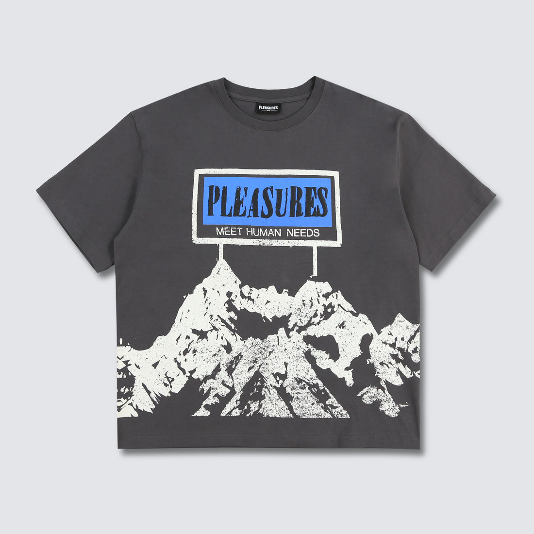 PLEASURES HUMAN NEEDS HEAVYWEIGHT SHIRT