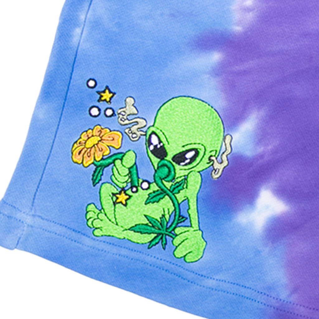 Ripndip Friday Jr Sweatshorts