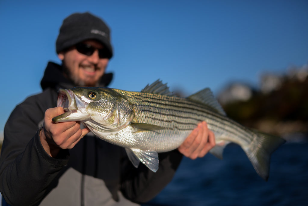 Fly Fishing New England: Fly Rods and Set Ups For Striper, False