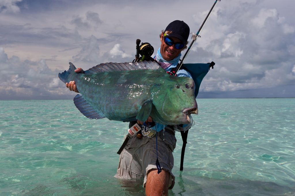 Bump Head Parrotfish Fly Fishing