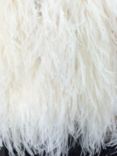 long white ostrich feathers