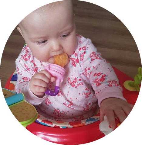 Baby Bite Pacifier And Food Supplement