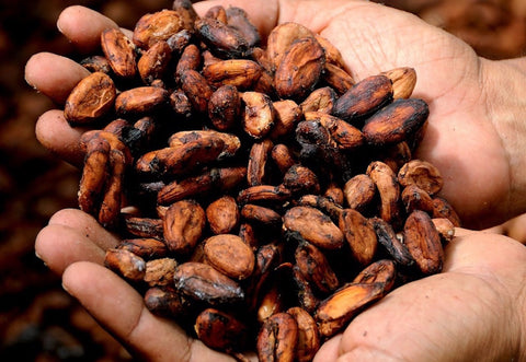 Cocoa beans - Gin Pairing with chocolate blog