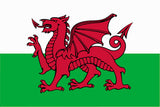 Funny Welsh sayings St Davids Day blog welsh dragon
