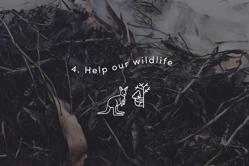 Help our wildlife
