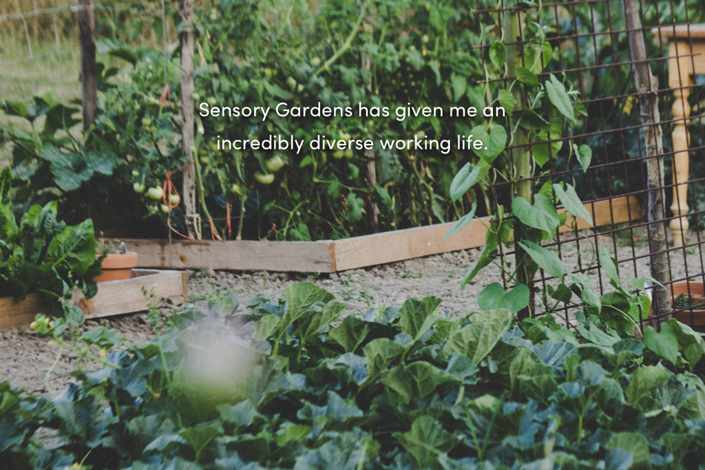 Sensory Gardens