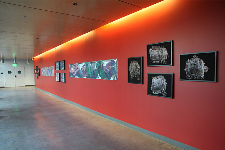 Suspended Motion Series I-III prints installed at UCSC, May 2014