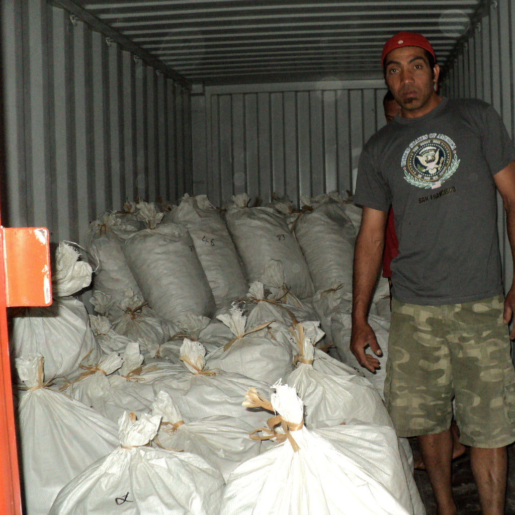 Shipping Container of Dried Kava Root 