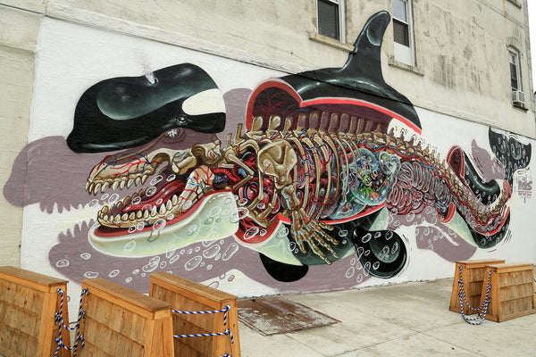 NYCHOS - Orca Whale Dissected Mural