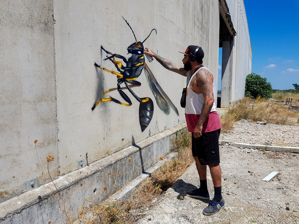 ODEITH - mud-wasp-odeith