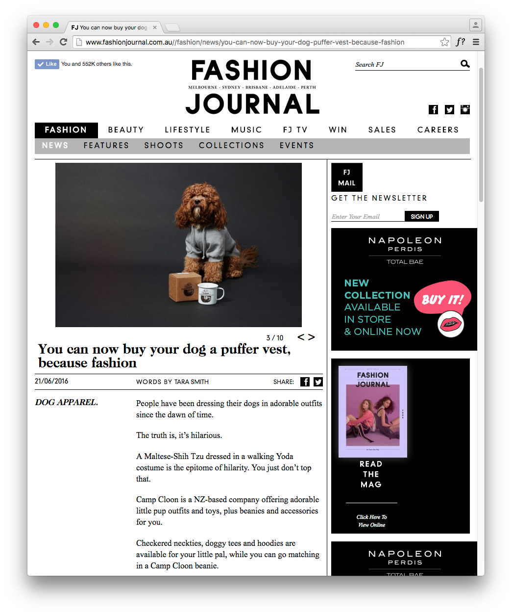 http://www.fashionjournal.com.au//fashion/news/you-can-now-buy-your-dog-puffer-vest-because-fashion