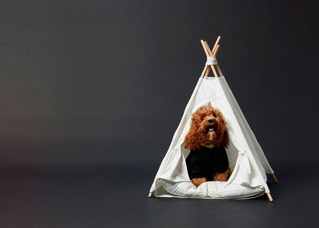camp-cloon-pup-tent-tipi-bed-tipi-teepee-dogbed