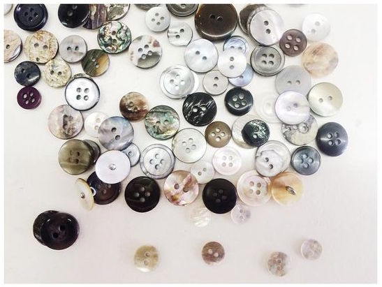 Abalone shell buttons