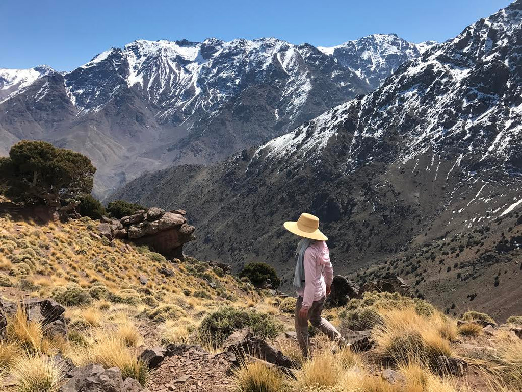 A stroll in the Atlas mountains