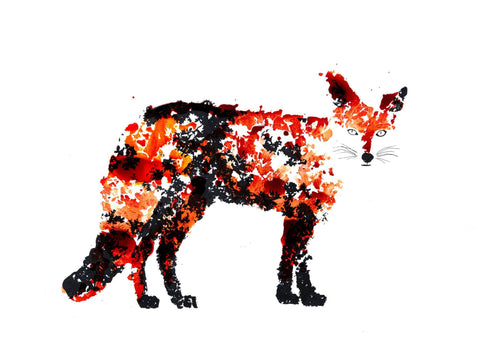 The Fox, Rob Wass