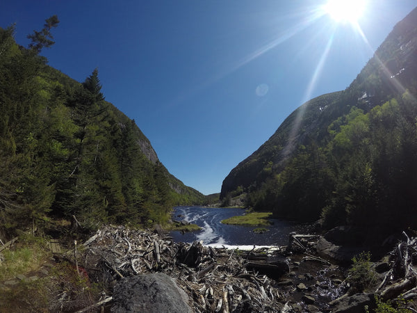 Avalanche Pass | Adirondacks