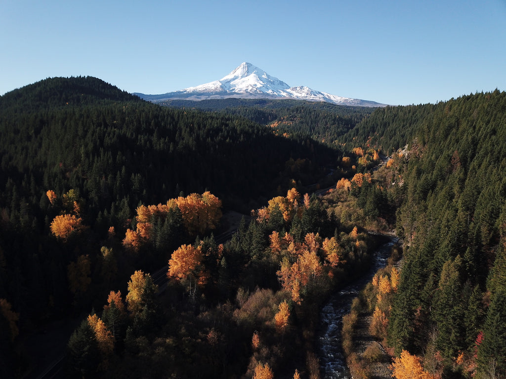 Mt. Hood National Forest | Hood River, Oregon