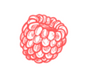 illustration of a raspberry, an ingredient in ARK Skincare's Intensive Hand & Nail Cream