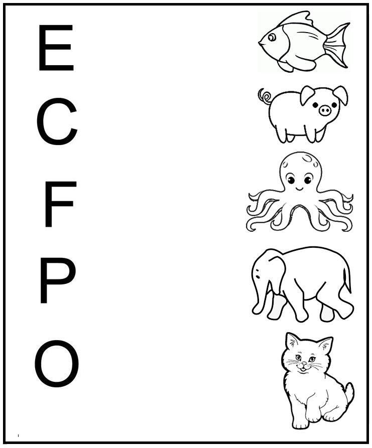 free-printable-science-worksheets-for-preschool-animals-27-olympiad