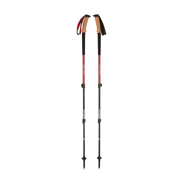 alpine ergo cork trekking poles