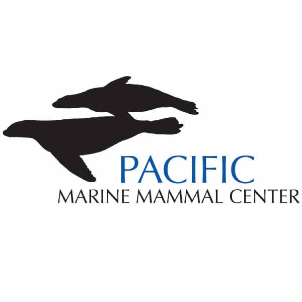 sand cloud gives to pacific MMC