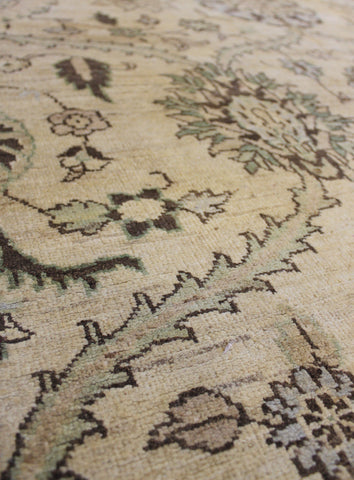 Ziegler rugs london - york - yorkshire