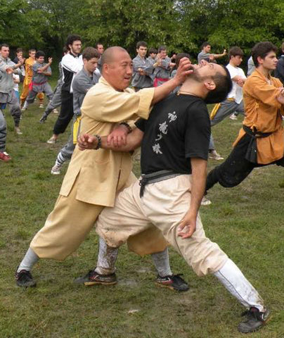 Shi Decheng visits Shaolin Kungfu Chan for intensive kung fu training classes in Las Vegas