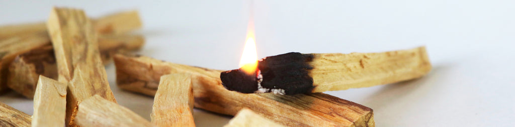 How to Cleanse with Palo Santo