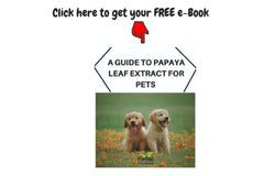 Papaya Leaf Extracts for your pets