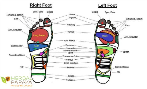 Foot reflexology