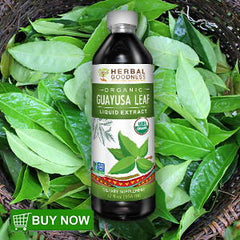 herbal goodness guayusa leaf extract