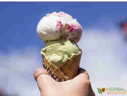graviola ice cream