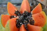 papaya foods to increase platelets itp Thrombocytopenia