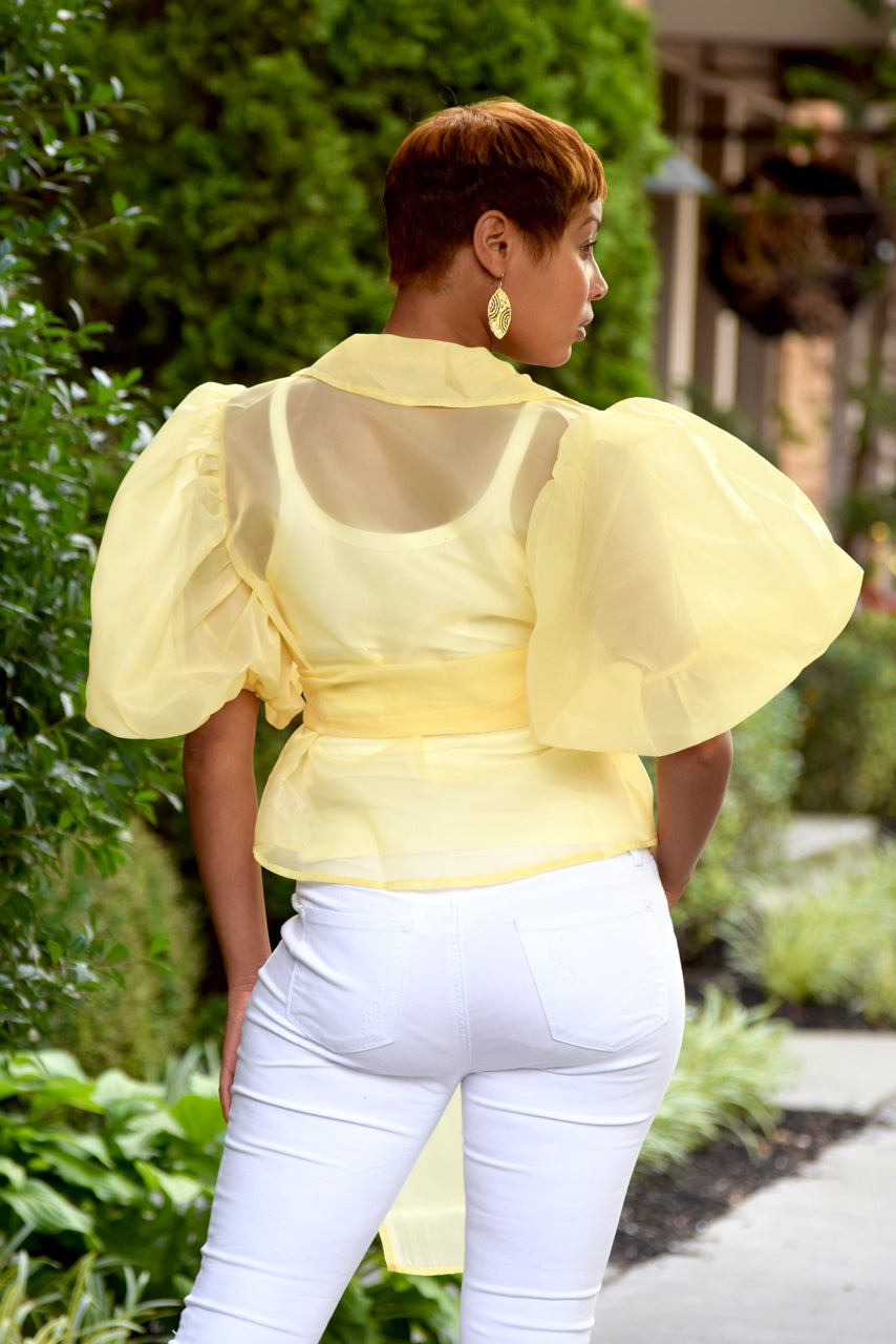 Balloon Sleeve with Sash Belt Top