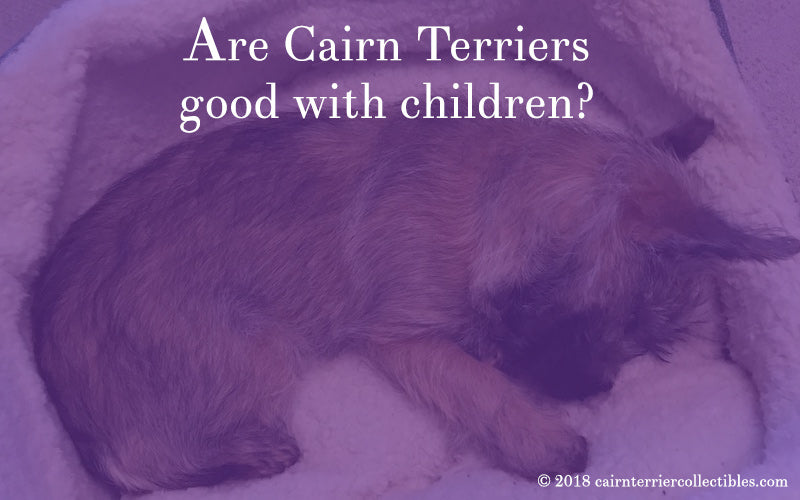 cairn terrier good with kids