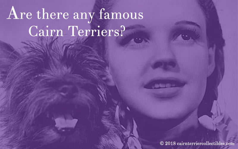 Are there any famous Cairn Terriers 