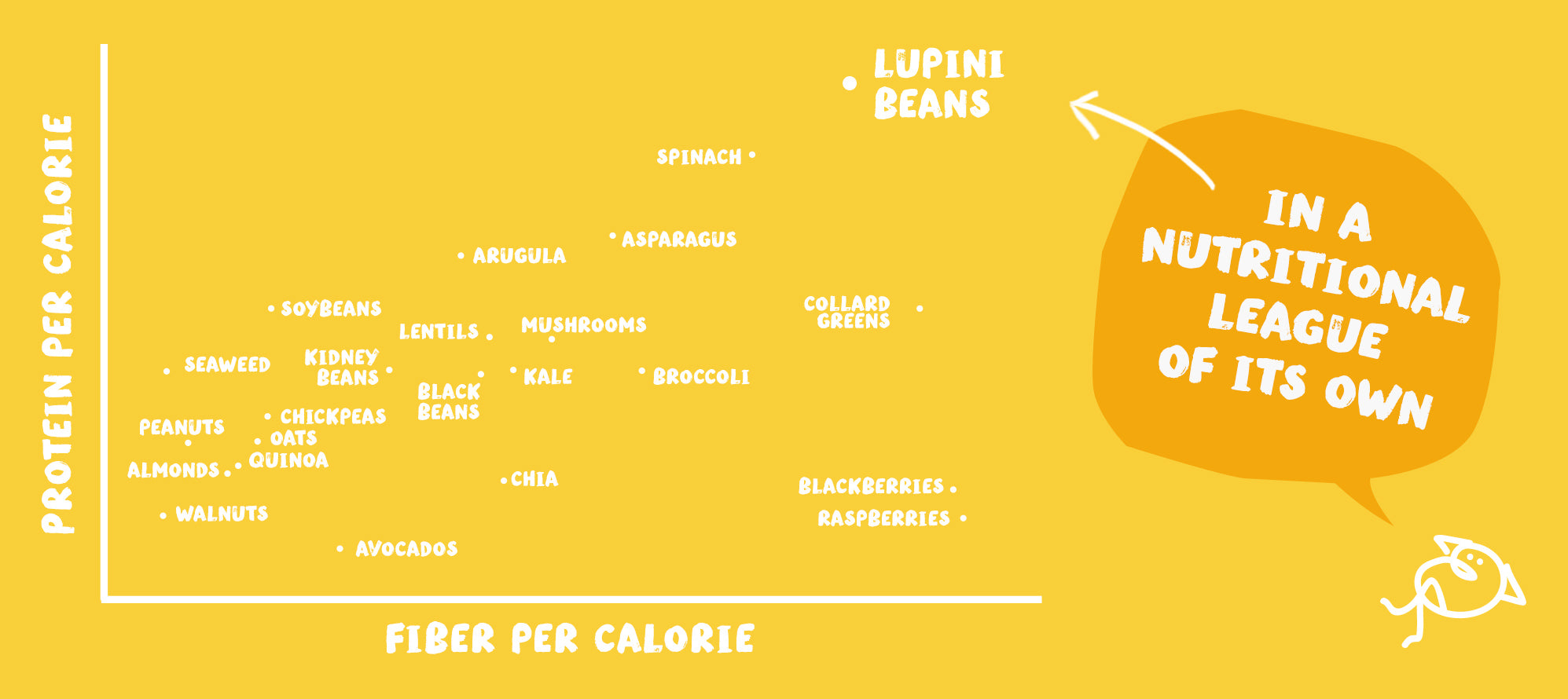 BRAMI Snacking Lupini Beans have the most protein per calorie of any plant on earth. Plus, they are at the top in terms of fiber per calorie too.