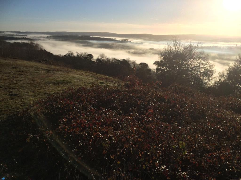 Views over North Downs