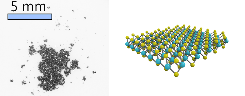 Molybdenum disulfide structure