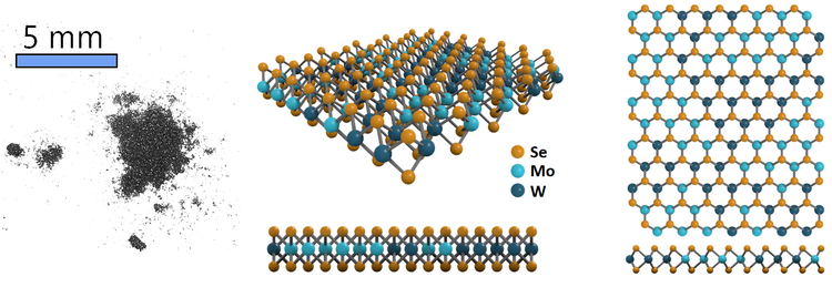 Molybdenum tungsten diselenide (MoWSe2) structure