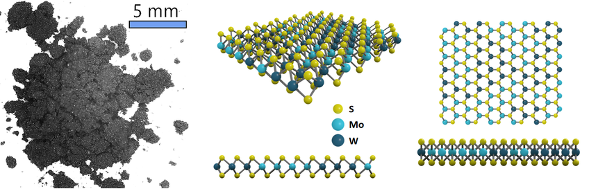 Molybdenum tungsten disulfide structure