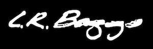 LR Baggs logo