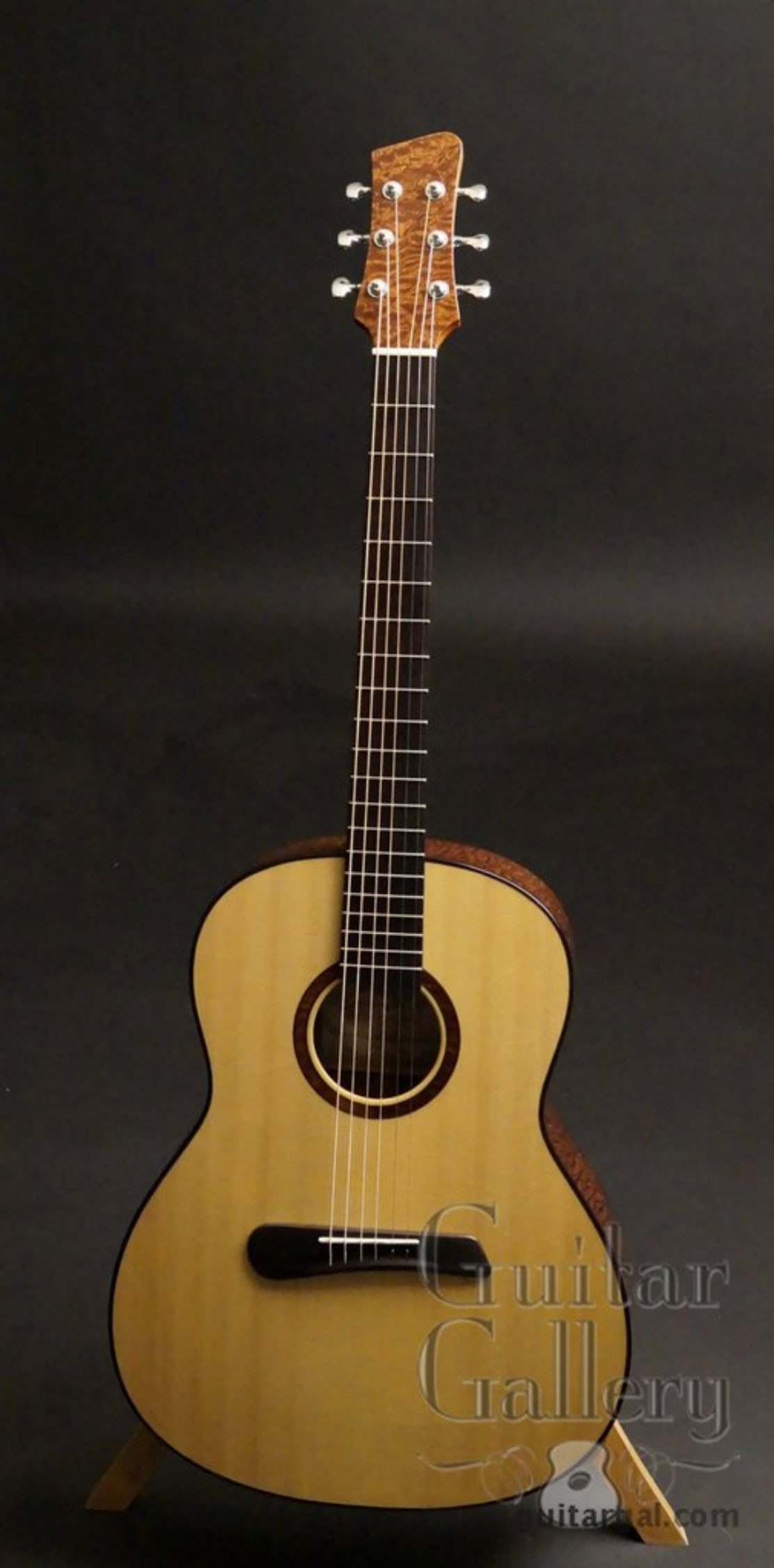 Ensor guitar