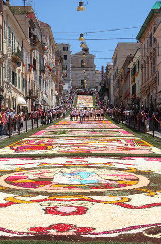 carpet of flowers in Italy